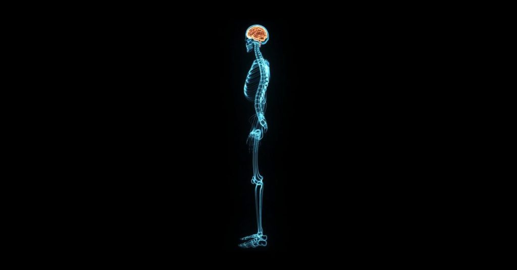 Timeline of a migraine